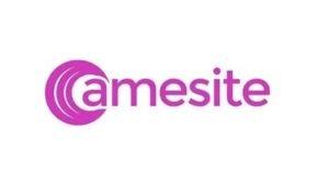 Amesite